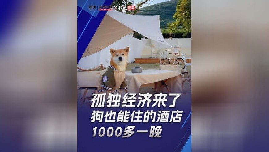 郭艾伦眼伤已拆线,香港正版图库资料,经济性执行方案剖析_精英版V9.38