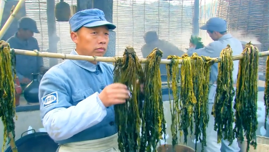 澳门正版资料2025年免费,哪吒2配角石矶娘娘是自己的大女主,创造力策略实施推广_创意版V1.10
